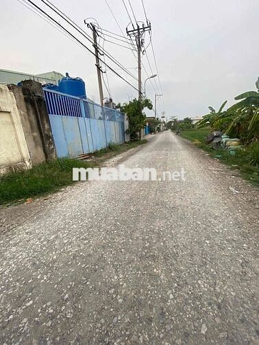NHÀ XƯỞNG BÌNH MỸ CỦ CHI CHO THUÊ