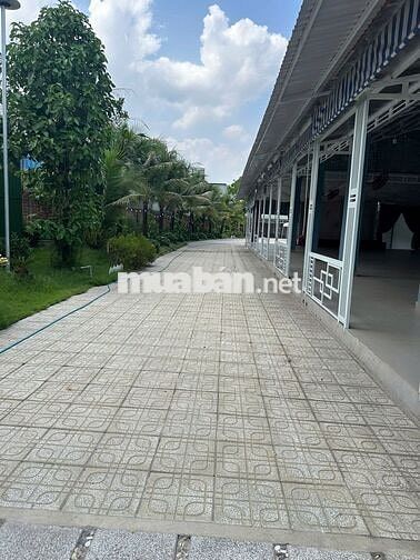 CHO THUÊ MẶT TIỀN KINH DOANH GẦN CHỢ TÂN PHƯỚC KHÁNH