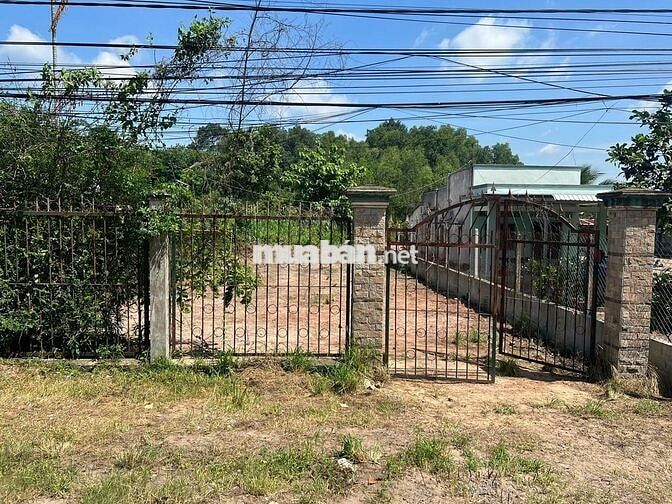 Cần bán gấp lô đất đường nhựa 30m Tân An Hội 436,8 m2 950 triêu 