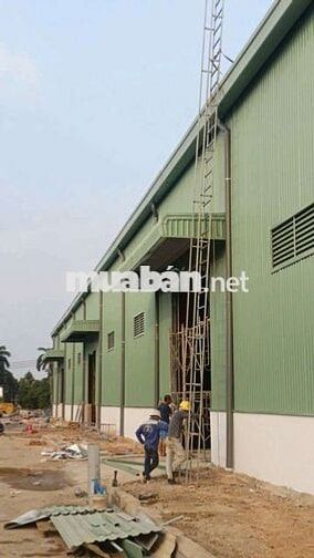 xưởng cho thuê trung lập hạ củ Chi