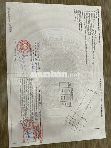 Cần bán gấp lô đất đường nhựa 30m Tân An Hội 436,8 m2 950 triêu 