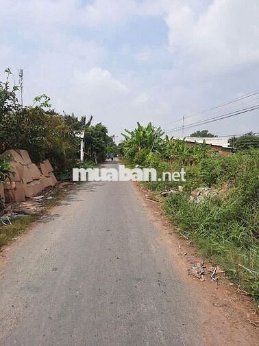 bán đất mặt tiền đường nhựa xã bình an thủ thừa  dt (5 x 40 = 200m2)