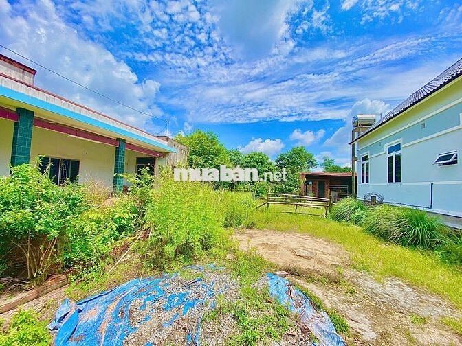 Bán đất siêu hot tại trung tâm trảng bàng, 495tr, 116m2
