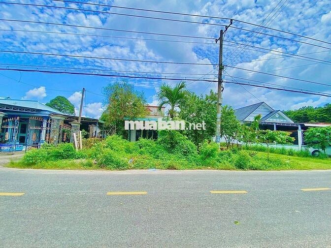 Bán đất siêu hot tại trung tâm trảng bàng, 495tr, 116m2