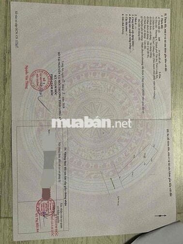 Bán Đất full thổ cư 100m2 khu dân cư đông đúc ,hẻm xe hơi thông thoáng
