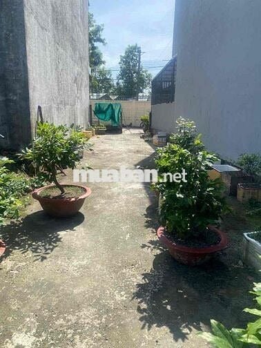 Bán Đất full thổ cư 100m2 khu dân cư đông đúc ,hẻm xe hơi thông thoáng