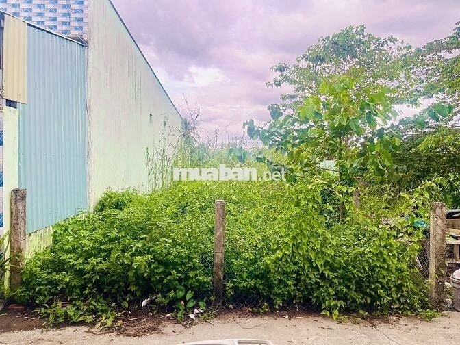 Bán đất thổ trung tâm TP Tân An, đất chính chủ