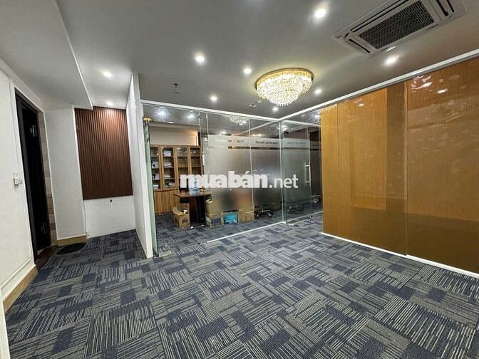 ❗BUILDING FULL KÍNH 189M, FORM TRỤ SỞ DOANH NGHIỆP TRẦN THÁI TÔNG