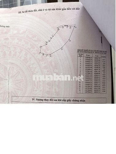 Bán 5 sào đất vườn cách đường Ql1a #1,2km đường ôtô Sedan vào tận nơi