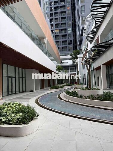 Cho thuê shophouse Daqua tầng trệt
