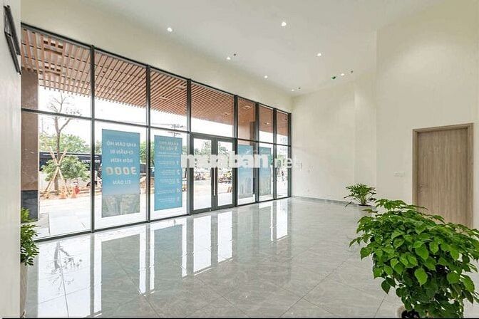 Cho thuê shophouse Daqua tầng trệt