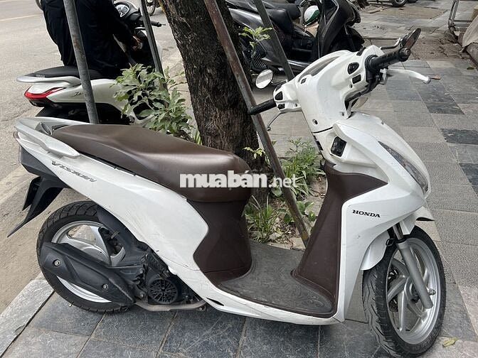 Honda Vision màu Trắng