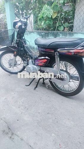 Honda Dream màu Nâu 