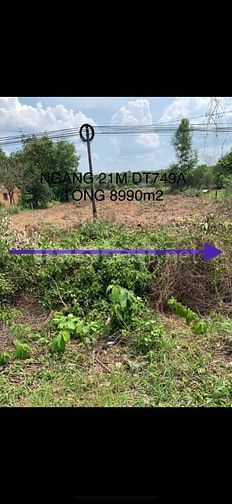 Bán Đất Chính Chủ Đường DT749A,Xã Minh Thạnh TP.HCM,Đất Đẹp Bán Gấp.