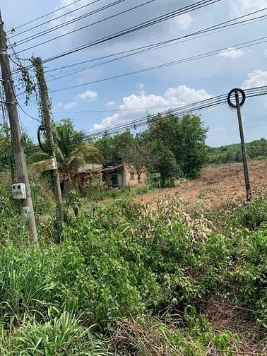 Bán Đất Chính Chủ Đường DT749A,Xã Minh Thạnh TP.HCM,Đất Đẹp Bán Gấp.