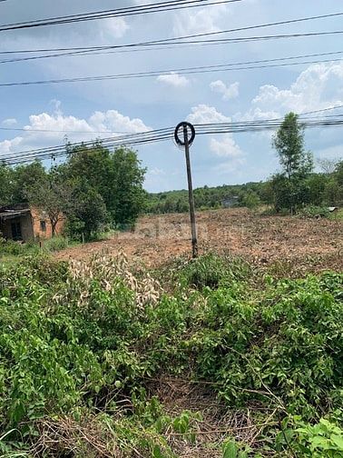 Bán Đất Chính Chủ Đường DT749A,Xã Minh Thạnh TP.HCM,Đất Đẹp Bán Gấp.