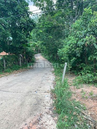 Bán Đất Chính Chủ Đường DT749A,Xã Minh Thạnh TP.HCM,Đất Đẹp Bán Gấp.