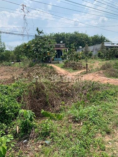 Bán Đất Chính Chủ Đường DT749A,Xã Minh Thạnh TP.HCM,Đất Đẹp Bán Gấp.