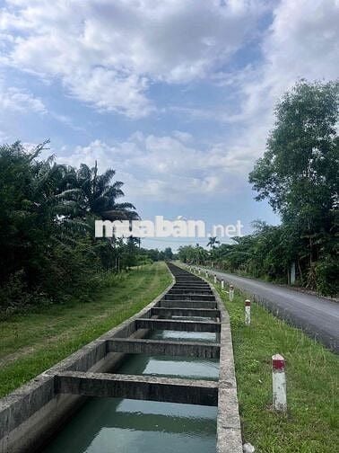 ĐẤT CỦ CHI 136m² – SỔ HỒNG RIÊNG – ĐƯỜNG NHỰA 6M – DÂN CƯ HIỆN