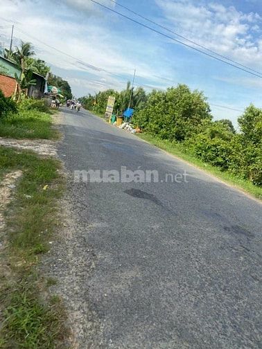BÁN GẤP ĐẤT MẶT TIỀN TỈNH LỘ 909 – LONG HỒ 