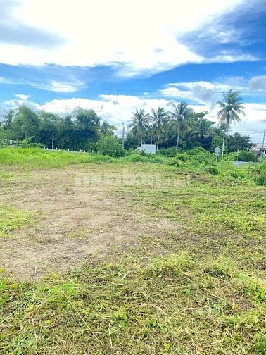 BÁN GẤP ĐẤT MẶT TIỀN TỈNH LỘ 909 – LONG HỒ 