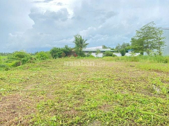 BÁN GẤP ĐẤT MẶT TIỀN TỈNH LỘ 909 – LONG HỒ 