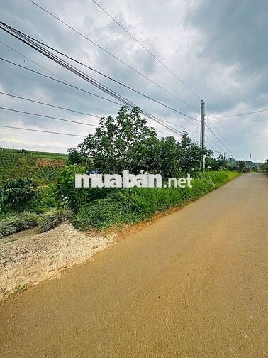 🍒 Nhượng mảnh đất hơn 1070m2 Tại Trung Tâm Tp. Bảo lộc
