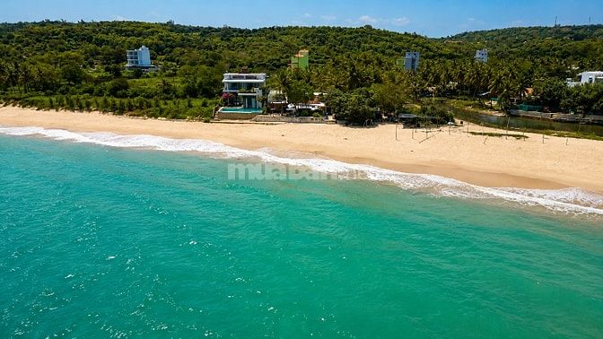 Bán đất mặt biển sát Gành Đá Đĩa 247m² - 100m2 thổ cư, giá 12,1 tỷ    