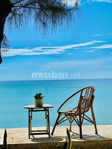 Bán đất mặt biển sát Gành Đá Đĩa 247m² - 100m2 thổ cư, giá 12,1 tỷ    