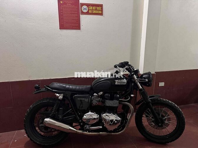 Triumph T100 giá trải nghiệm