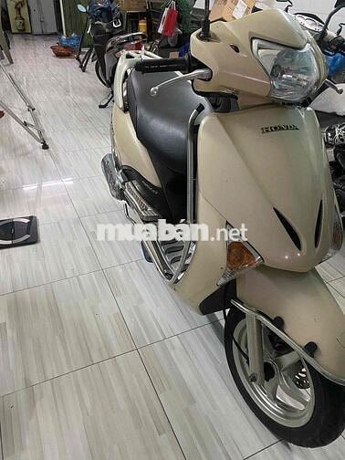 Honda Lead hột gà mâm sao biển