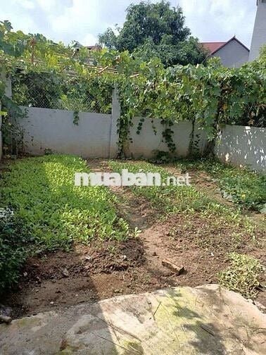 Hơn 5 Tỷ Có Ngay 265 m² đất sẵn nhà 3 tầng kiên cố.