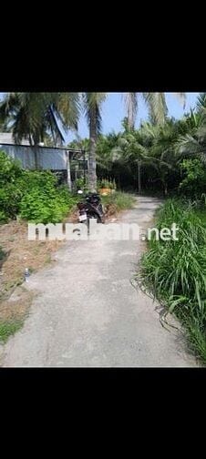 CẦN VỐN KINH DOANH BÁN GẤP LÔ ĐẤT MỎ CÀY BẾN TRE .