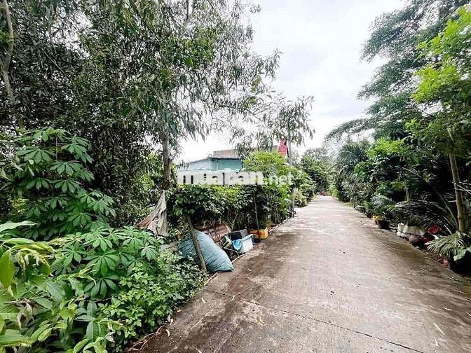 🌿 ĐẤT MẶT TIỀN ĐƯỜNG 6M – 120M² – SHR – AN HẠ, VĨNH LỘC A, BÌNH CHÁNH