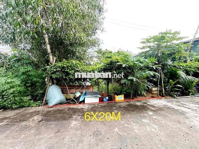 🌿 ĐẤT MẶT TIỀN ĐƯỜNG 6M – 120M² – SHR – AN HẠ, VĨNH LỘC A, BÌNH CHÁNH