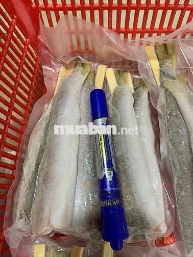TUYỂN THỦ KHO ĐÔNG LẠNH - TƯƠI SỐNG