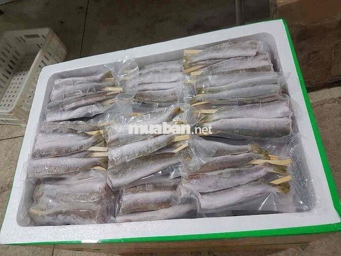TUYỂN THỦ KHO ĐÔNG LẠNH - TƯƠI SỐNG