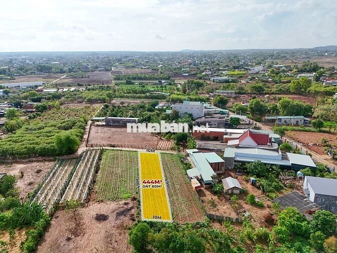 Bán 10m cách đường 29 chỉ 50m,gần KCN Sonadezi Nghĩa Thành, Châu Đức