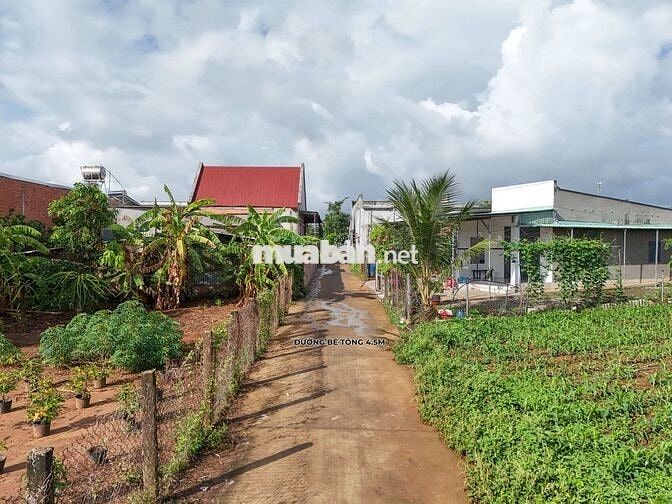Bán 10m cách đường 29 chỉ 50m,gần KCN Sonadezi Nghĩa Thành, Châu Đức
