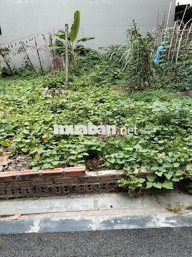 Bán đất Thiết Bình - Thư Lâm, gần đường Nguyễn Thực, 61m2, giá 3.6 tỷ