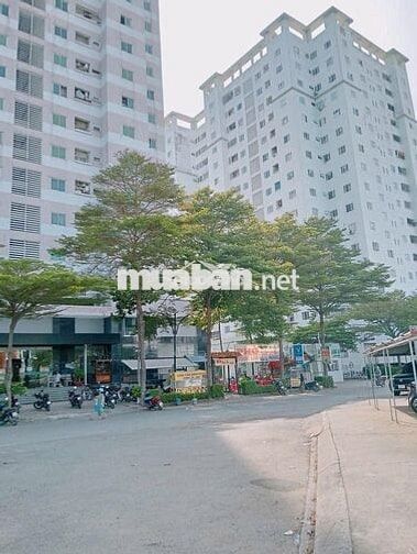 CẦN BÁN CĂN HỘ CC THÁI SƠN BÌNH TÂN