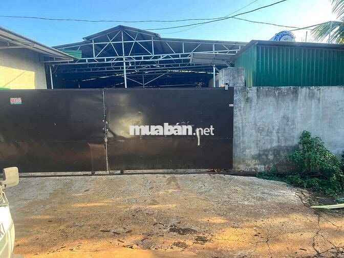BÁN KHO SẦU RIÊNG QL 26 EAKNUEC KRONG PAK DĂK LĂK