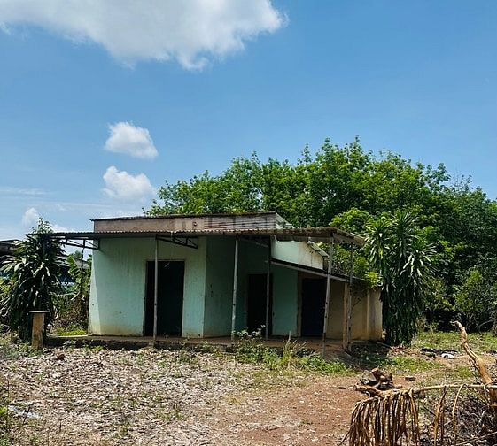 Vợ chồng lục đục, phân chia tài sản bán vườn bưởi 7000m2 giá 390tr