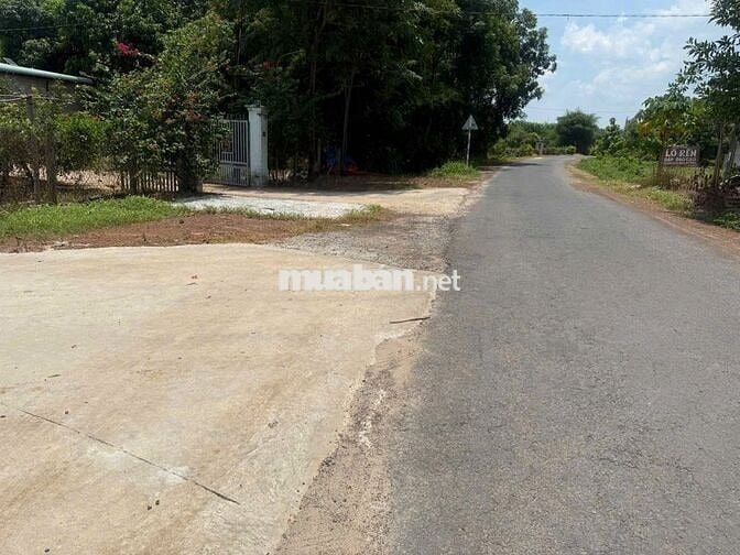 ĐẤT BÌNH PHƯỚC 200m² – 100m² THỔ CƯ – SỔ RIÊNG