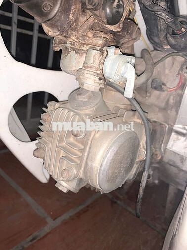 Cúp nhật 8270 nguyên bản