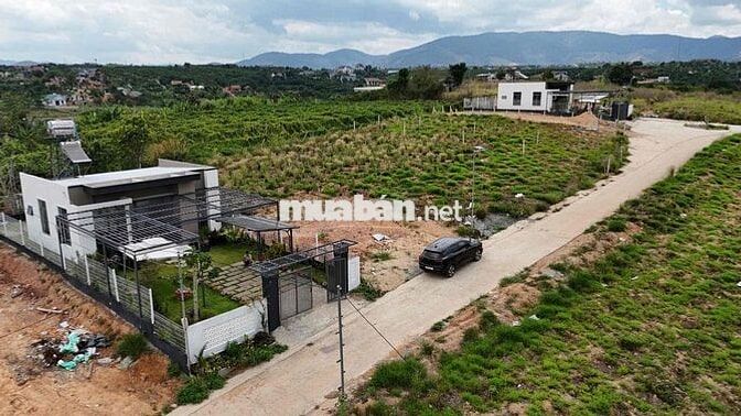 ĐẤT VIEW ĐỒI THÔNG NAM BAN - LÂM HÀ - LÂM ĐỒNG GIÁ MỀM