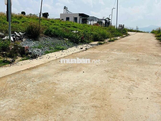 ĐẤT VIEW ĐỒI THÔNG NAM BAN - LÂM HÀ - LÂM ĐỒNG GIÁ MỀM
