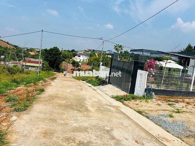 ĐẤT VIEW ĐỒI THÔNG NAM BAN - LÂM HÀ - LÂM ĐỒNG GIÁ MỀM