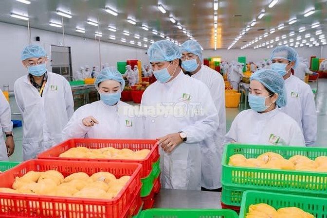 [Bến Tre] Nhân viên Quản lý chất lượng