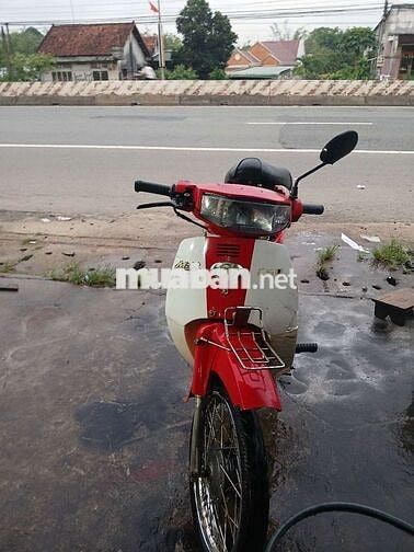 xe 50 có giấy tờ